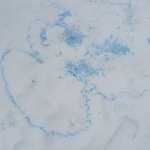 phoca_thumb_m_zajci a snh  18 Fotogalerie